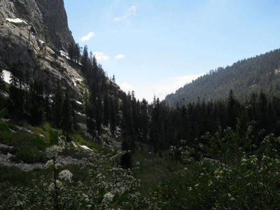Stony Creek Lodge Sequoia National Park Екстериор снимка