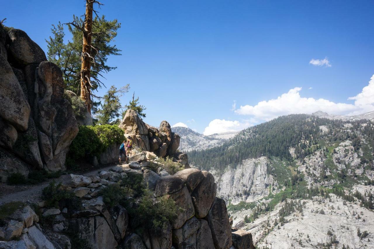 Stony Creek Lodge Sequoia National Park Екстериор снимка