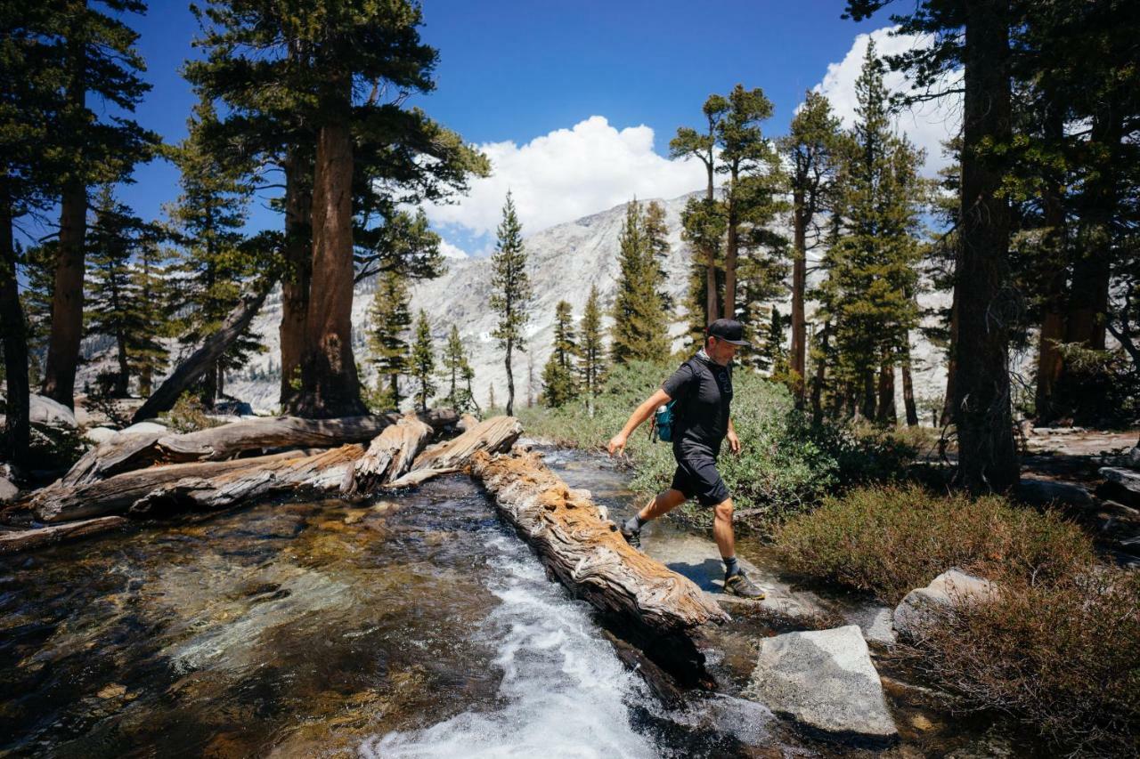 Stony Creek Lodge Sequoia National Park Екстериор снимка