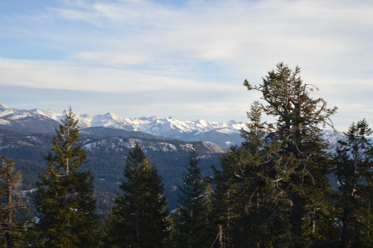 Stony Creek Lodge Sequoia National Park Екстериор снимка